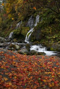 紅葉の吐竜の滝