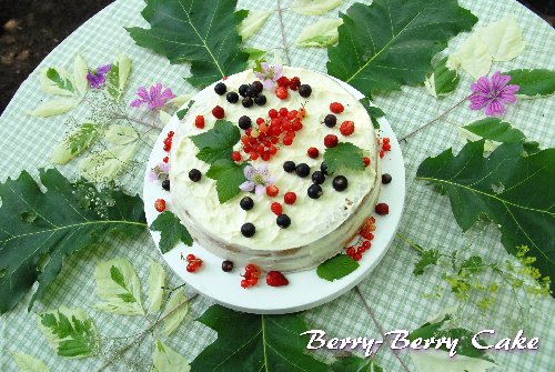 Berry　Berry　Cake