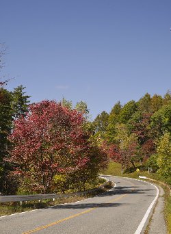鉢巻道路の紅葉