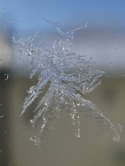 氷の結晶